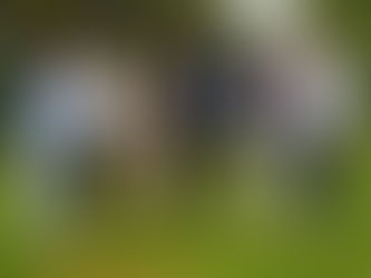 Minister congratulates students receiving BTEC, AS and A level Results