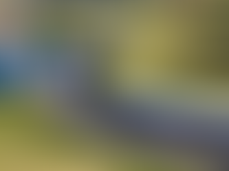 Swann praises “genius of Wrightbus” after latest £25m order