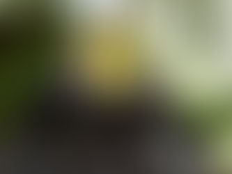 Ballymena cyclist completes 280-mile journey for mental health