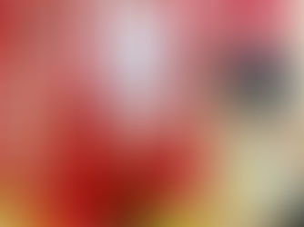 The search is on for Meeko’s Valentine!