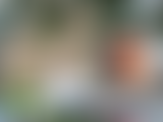 Police arrest fourth person in connection with murder of Victor Hamilton