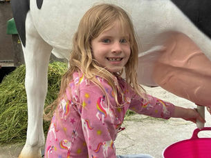 From muddy wellies to sunshine-filled crowds: thousands enjoy CAFRE’s Open Farm Weekend