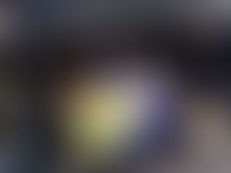 Mayor supports Guide Dogs NI ‘Open Doors’ campaign