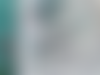 Large disparities emerge in Mid and East Antrim councillor expenses as allowances rise to £18,916