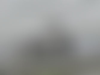 DAERA confirms positive test results for Avian Influenza in wild seabirds on Rathlin Island