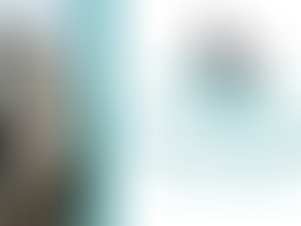 Planning appeal against Mid and East Antrim Council dismissed for proposed 10-bedroom HMO property