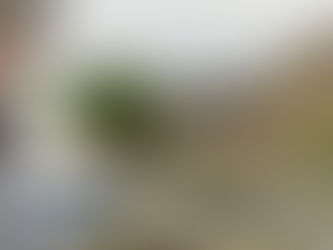 Police investigating disappearance of Lee Johnston visit location in Ballymena