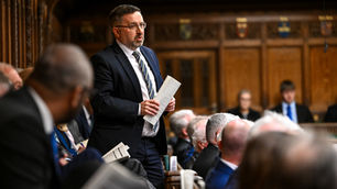 Swann secures Westminster debate on future of veterinary medicine supply in Northern Ireland