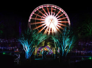 CONFIRMED | Council agrees two-tier pricing for Antrim Enchanted Winter Gardens event