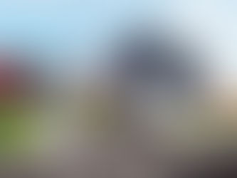 Are plans progressing for Home Bargains in Ballymena?