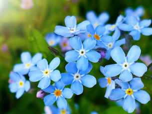 Northern Trust’s telephone service bringing support to the bereaved