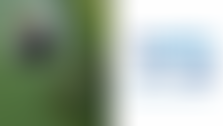 NI Water comes under spotlight: Wastewater monitoring welcome but long overdue, says Robin Swann