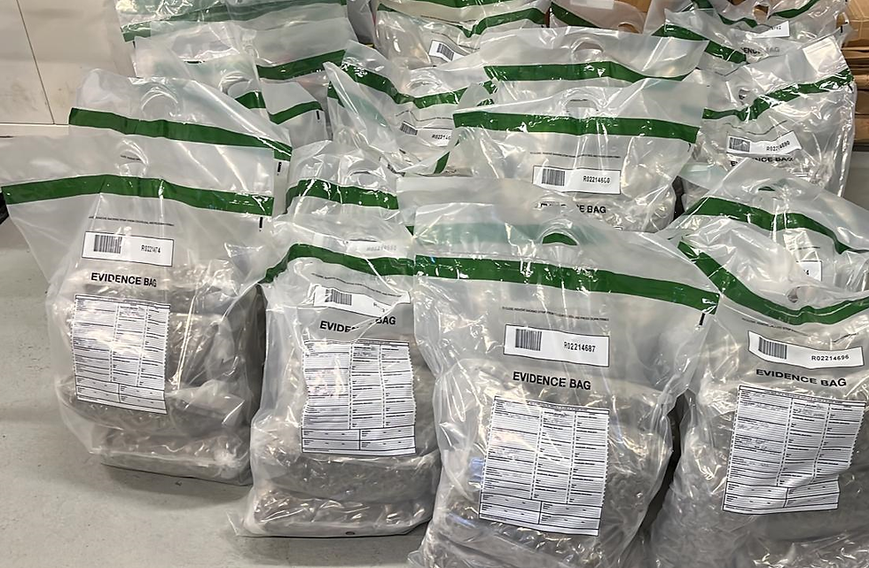Suspected herbal cannabis with an estimated street value of around £2million seized
