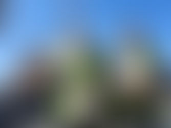 Ulster Bank backs Andras House with North Coast expansion