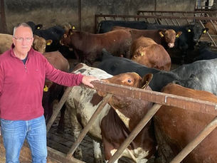 Northern Ireland beef farmers ‘losing £350 per animal’ as price cuts spark warning over sector’s future