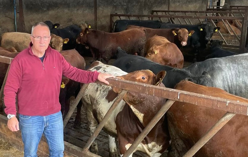 Northern Ireland beef farmers ‘losing £350 per animal’ as price cuts spark warning over sector’s future