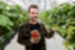 Tim O'Malley from Co Armagh started his strawberry growing journey in May 2024