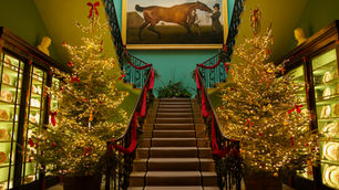 The National Trust unveils its best Christmas days out across Northern Ireland