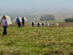 Northern Ireland’s largest wool bog restoration trial begins on Slievenanee in the Antrim Hills