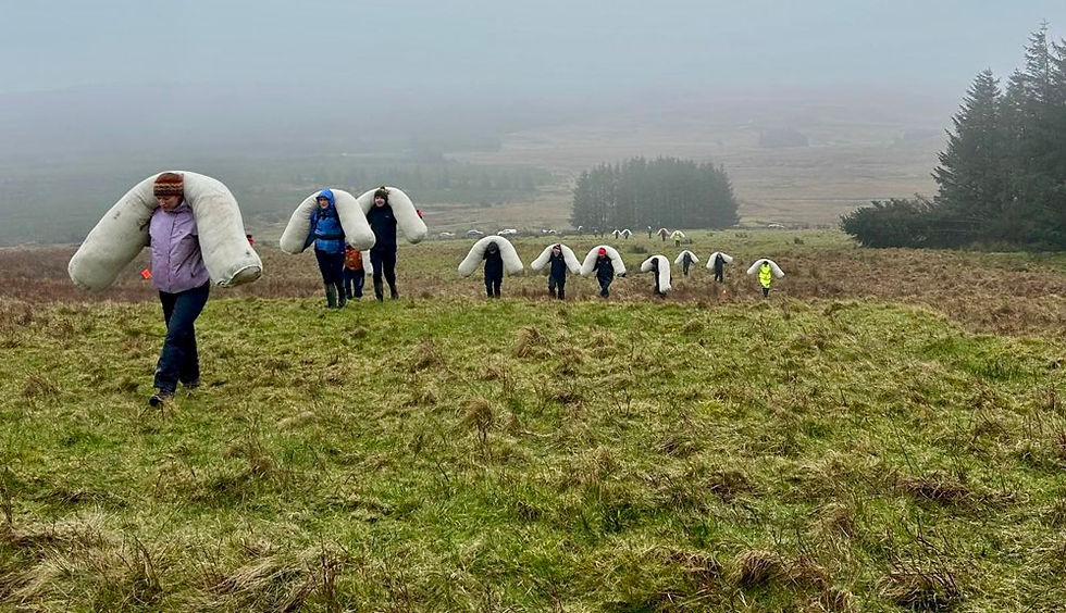 Northern Ireland’s largest wool bog restoration trial begins on Slievenanee in the Antrim Hills