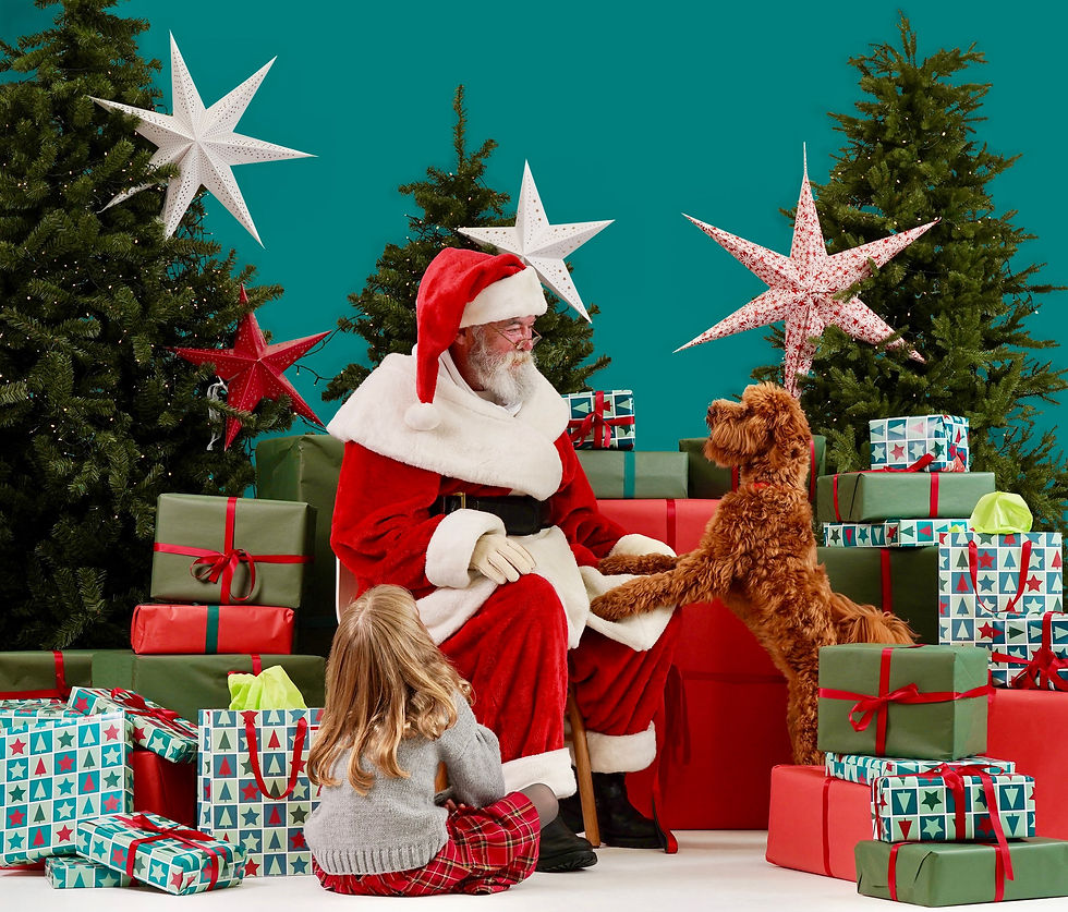 Santa with a child and dog