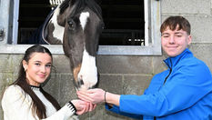 Horse lovers urged to seize last chance to apply for CAFRE equine courses this September