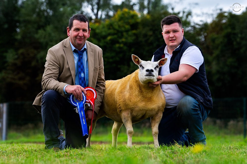 Joshua Keys with female and reserve overall champion Bolies Lemon, with Judge Andrew Baillie