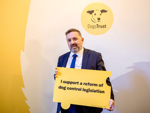 Call to end euthanasia of healthy dogs: Robin Swann MP joins Dogs Trust campaign