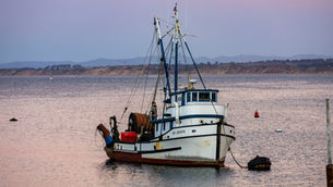 TUV warns of “seismic” threat to Northern Ireland fishing industry as major quota cuts loom
