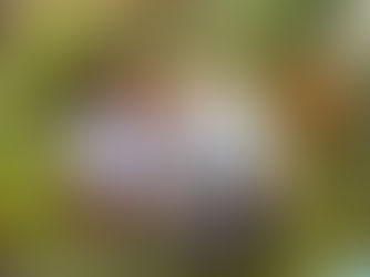 Marks & Spencer commits to holding the price on its market leading school uniform