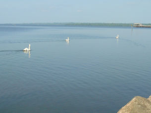 ANBCouncil steps up to take responsibility for bathing water at Antrim despite some concerns