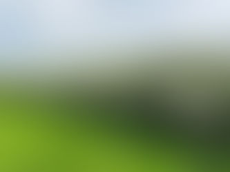 CAFRE continues expansion of NI hedgerows providing essential habitats for native species