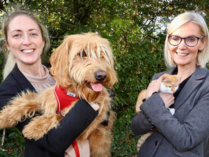 DAERA and USPCA urge the public to think carefully before buying a pet this Christmas