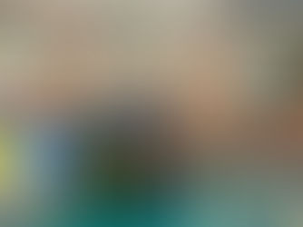 Police make fresh appeal for information and witnesses in search for missing Ballymena woman