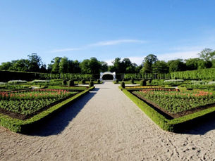 Trees set to dance in Antrim Castle Gardens to mark Her Majesty’s Platinum Jubilee