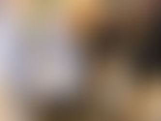 Stopping animal cruelty should be a priority for all – Muir