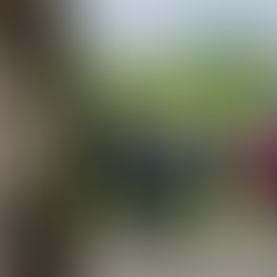 Polish Consul General joins DUP in North Antrim to honour fallen Polish RAF pilot Jerzy Tuczemski