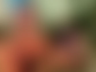 Springboard NI Head, Ballymena’s Caitriona Lennox recognised for transforming lives through hospitality