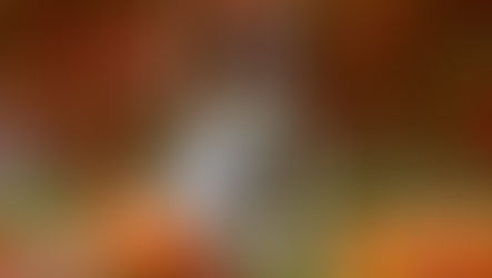 Dogs Trust Ballymena shares ‘Howl-oween’ safety tips for pets