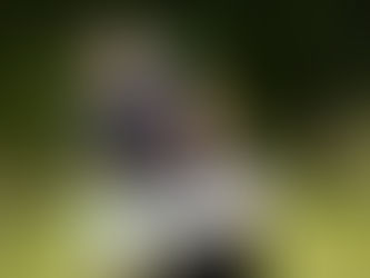 Bee snap happy as Translink launches biodiversity photo competition