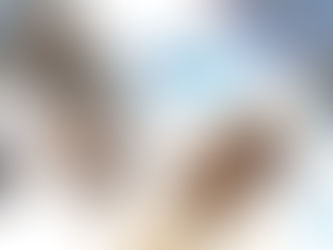 From grassroots to glory: Nominate your sporting stars for Mid and East Antrim Sports Awards 2026