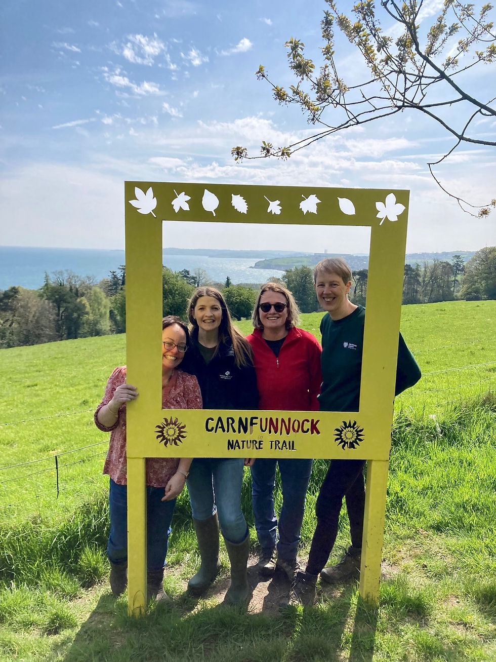 Vanessa Postle, Sustainable Development Officer, MEABC, Jo Boylan, Outreach Officer, Woodland Trust Northern Ireland, Rhona Smith, Grant Programme Manager, Woodland Trust and Susan Lynn, Tree and Woodland Officer, MEABC.