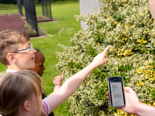 More than 6,000 trees planted as myEARTH inspires families to get outdoors