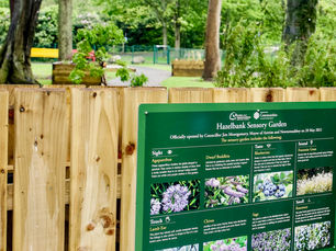 Sensory garden approval for playgroup in Antrim