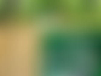 Sensory garden approval for playgroup in Antrim