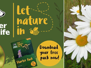 Ulster Wildlife and Hughes Insurance calling 5,000 homes to ‘Let Nature In’