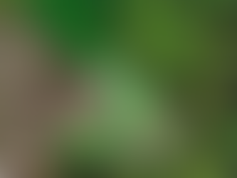 Almost 30 new homes planned for Larne