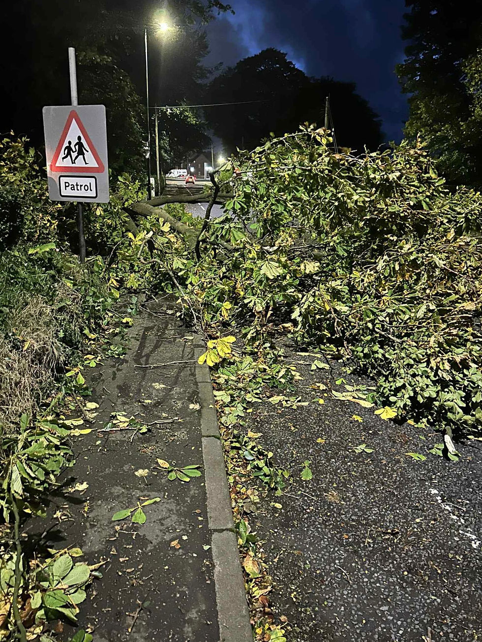 A tree down on Friday night on Raceview Road, leaving Broughshane village.