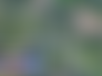 Registrations now open for March’s ‘Mane’ Event - the Belfast Zoo 5k Run