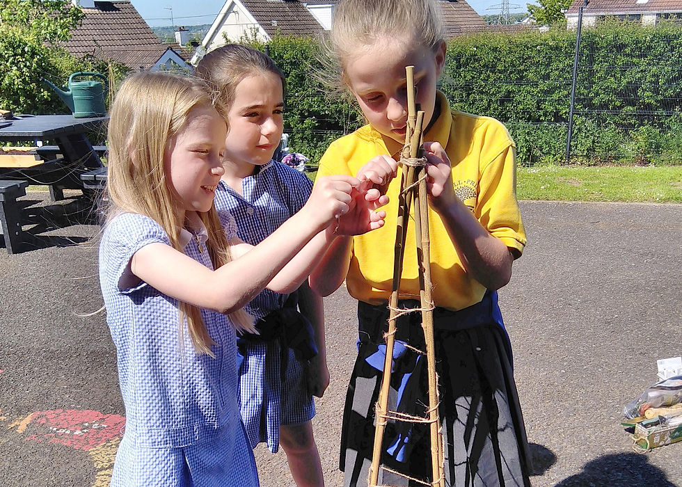 Camphill Primary School pupils building pea structures to help growing stems